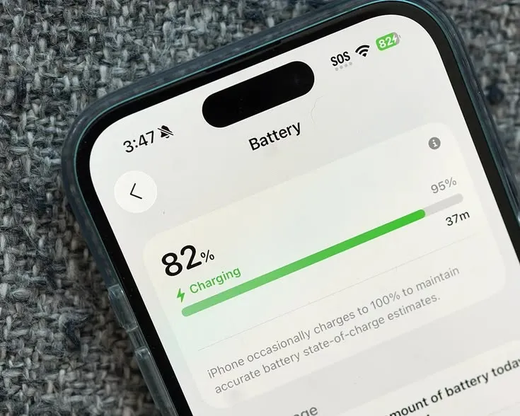 A battery icon framed like a pressed botanical specimen